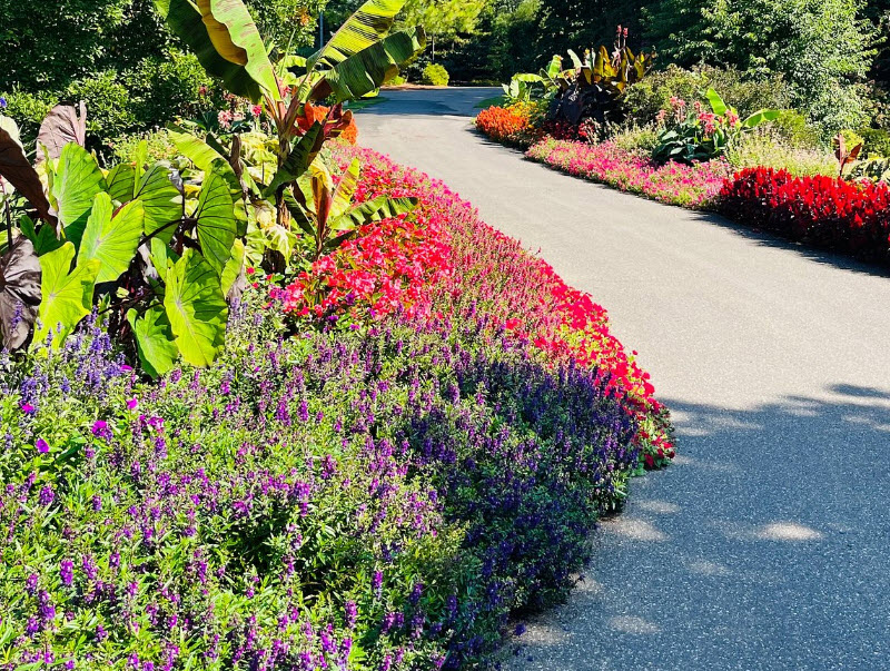 Clark Botanic Gardens, United States